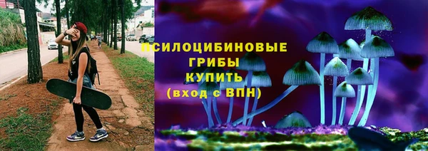 дмт Аркадак