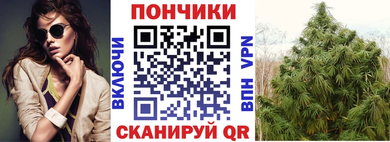 hydra сайт  Нязепетровск  Шишки марихуана ГИДРОПОН 